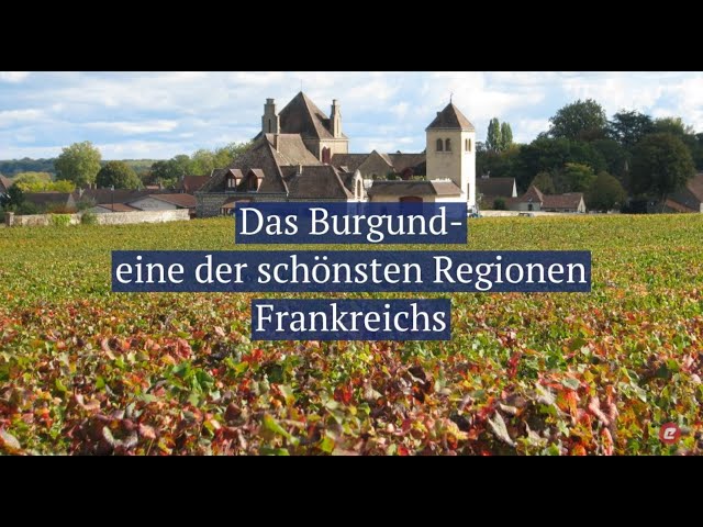 Frankreich – Burgund vom Feinsten
