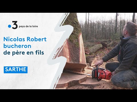 Gens de la Terre :  Nicolas, bûcheron à Bercé