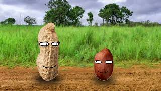 Download lagu Kacang Lupa Kulitnya mp3