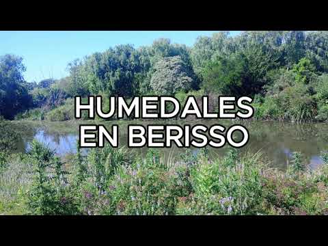 HUMEDALES  EN BERISSO 💧 Por qué son vitales para tu ciudad y cómo cuidarlos | Educativo para niños
