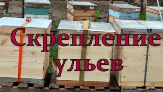 Крепление доньев на многокорпусных ульях своими руками