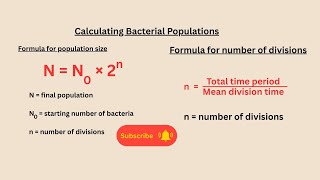Calculating Bacterial Populations for AQA GCSE Biology
