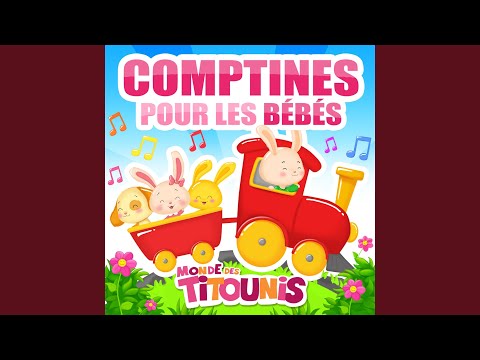 Au galop petit cheval