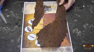 Fanta Jahms - How To Use The Whole Leaf