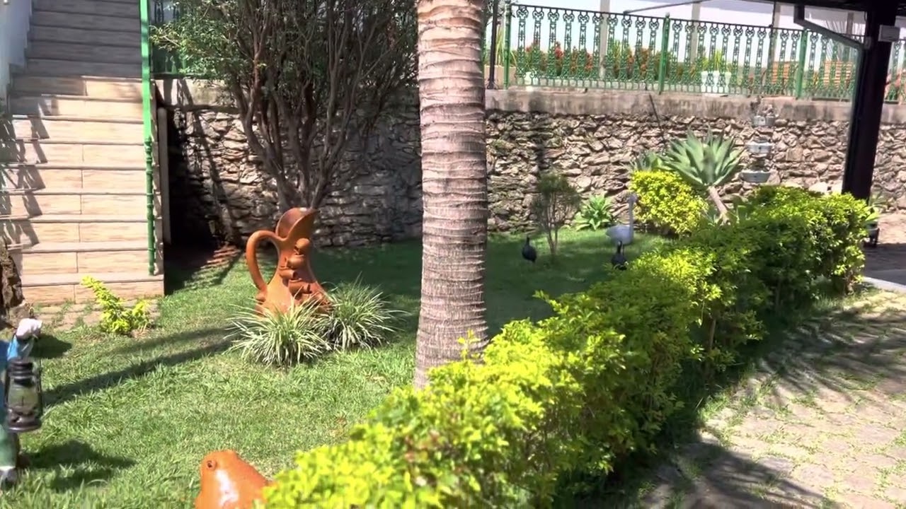 conheça na integra thumbnail