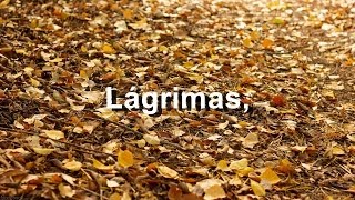 Lágrimas - Camila - Letra - HD