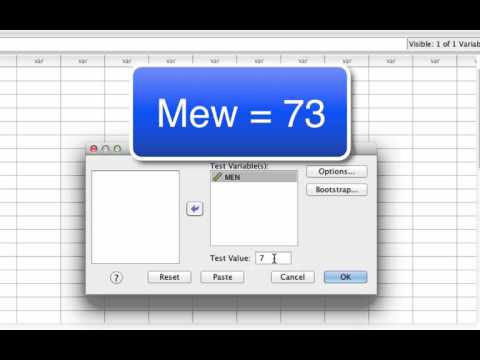 10-4 One Sample t Test in SPSS