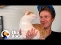Katze Tut Alles Um In Der Nähe Des Freundes Ihrer Mutter Zu Sein The Dodo