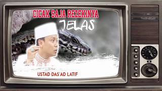 Download lagu Cicak Saja jelas Rezeki nya APA LAGI KITA oleh Ust... mp3