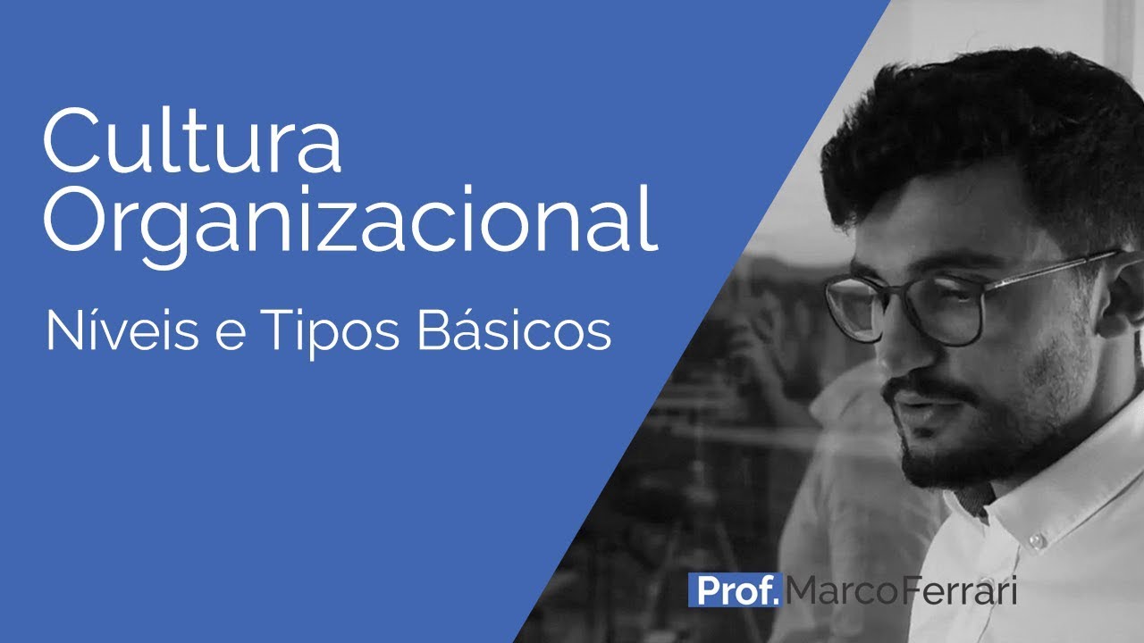Cultura Organizacional - Níveis e Tipos Básicos