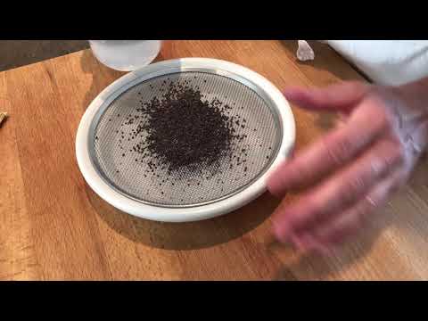 bt-Video Brokkoli-Sprossen