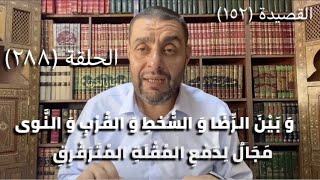 صورة (288) كرسي المتنبي -  لِعَيْنَيْكِ مَا يَلْقَى الفُؤَادُ وَمَا لَقِي - حلقة