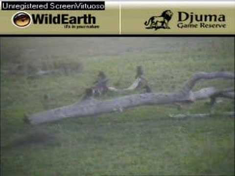 Sunset drive 111807-13