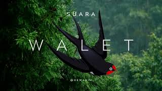 Download lagu Viral ‼️| Suara Walet | Animal Sound | Suara Binatang | Swallow🔥 mp3