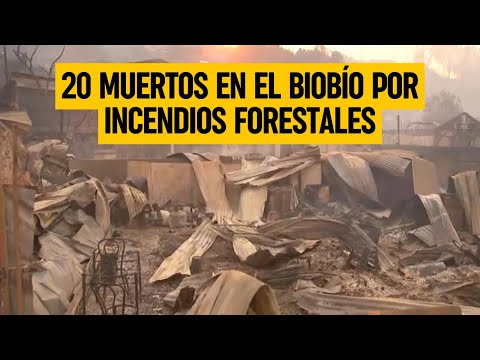 Víctimas fatales por incendios aumentan a 20: En Penco, sujeto fue detenido por provocar fuego