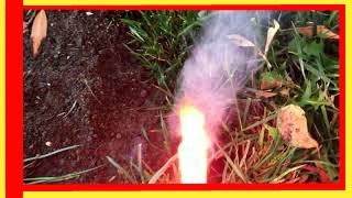 SURE - BEST WAY to GET RID of MOLES and GOPHERS in your yard - $2 solution-In2 min. Please Subscribe