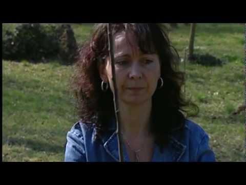 Tündérkert - Vas Megyei Önkéntes Centrum