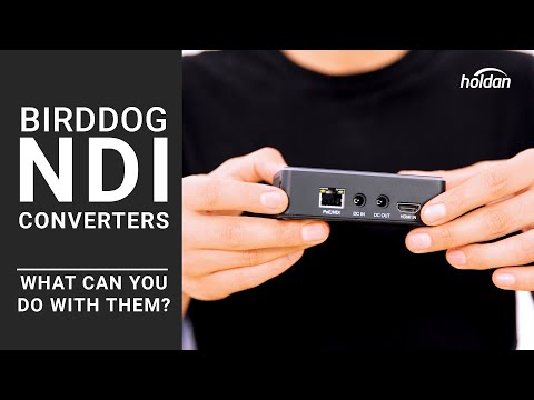 BirdDog NDI Encoders