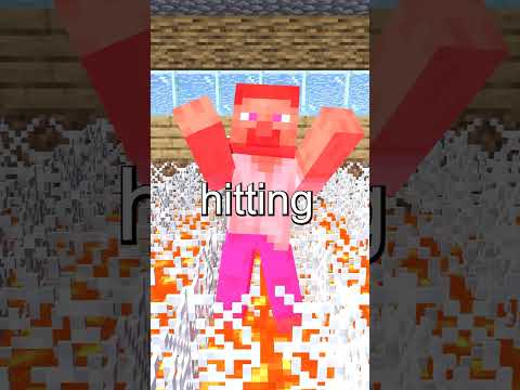 The Best Prank In Minecraft