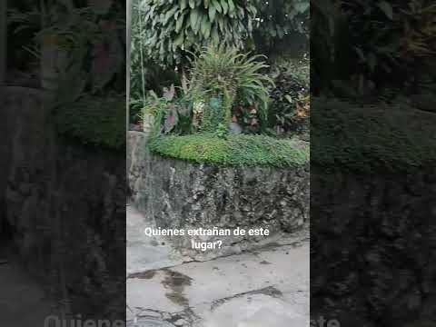 Colonia Lamatepec #santaana#elsalvador#suscribete#