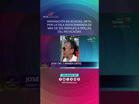 Indignación en Acacías por la tala indiscriminada de más de 320 árboles a orillas del Río Acacías