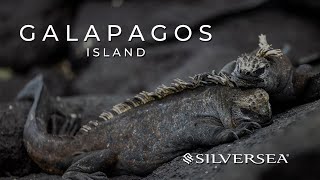 Galápagos Islands: Wildlife & Wonders with Silversea Cruises