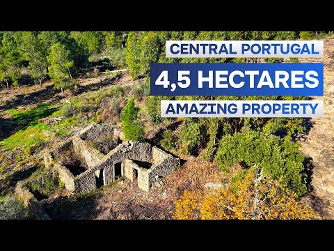 €47,500 | 4.5 ha Farm for Sale in Central Portugal 🇵🇹 | Water | Ruin | Gardunha Mountain