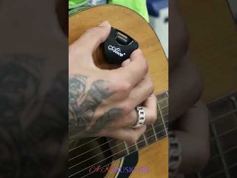 Alice Guitar Pick Cases