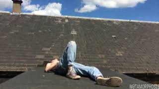 Like Or Like Like- Miniature Tigers (Lyrics- Subtitulado en español)