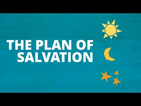 What Is the Purpose and Meaning of Life? | Now You Know