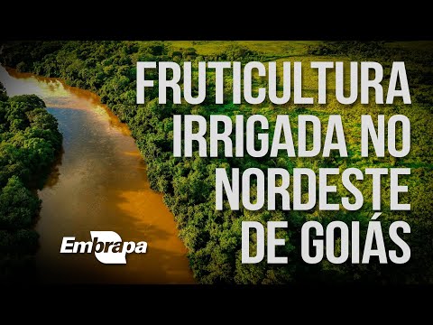 Fruticultura Irrigada no Nordeste de Goiás