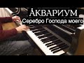 Аквариум - "Серебро господа моего". Piano cover by Lucky Piano Bar (Евгений ...