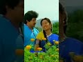Poothu Poothu Kulunguthadi Male Whatsapp Status
