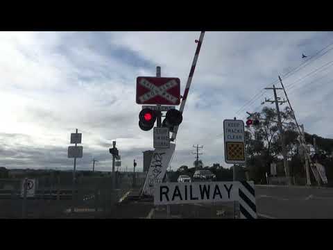 4PM4 STEEL NR86IP+NR81