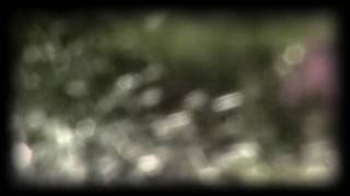 &quot;Wait&quot; - Alexi Murdoch - Dream Sequence