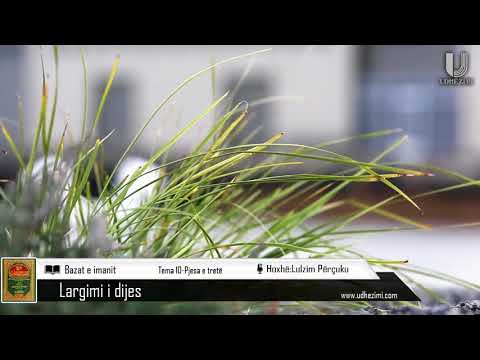 50) Bazat e imanit-Tema e 10 : Largimi i dijes-Pjesa e tretë