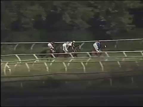 Galoppo 06/08/2014 - Corsa 6