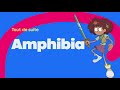Disney Channel Wallonia Amphibia Next Bumper Signature Strokes