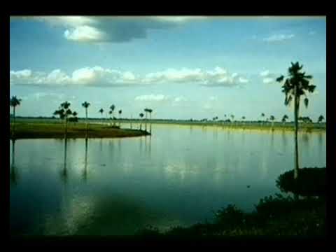 GUAYANES AMIGO - J. H. CASTILLO