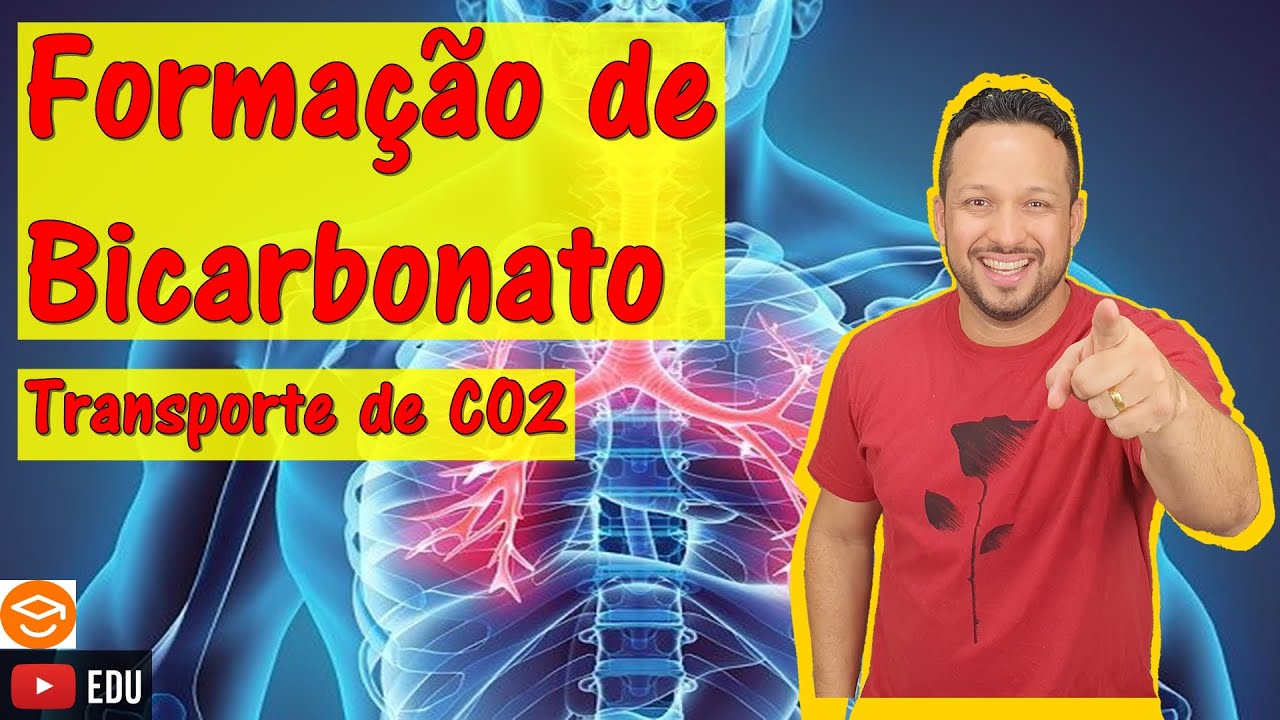 Formação de Bicarbonato - Transporte de CO2 - Sistema Respiratório - Fisiologia Humana