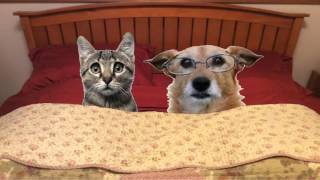 Robert Stelmach&#39;s &quot;Do You Love Me?&quot;