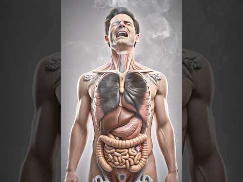 Smoking kills #doctor #drrazahealth360 #medical #health #healthtips #smoke #lungs