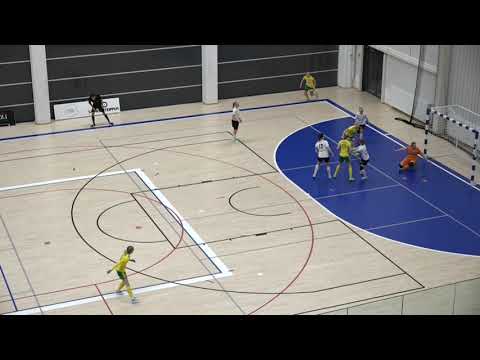 Kooste FS Ilves - Yilves  24.1.2021