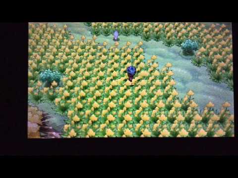 Tips and tricks: Pokemon X: Geomancy