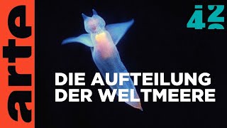 Wem gehört das Meer? | 42 - Die Antwort auf fast alles Reupload | ARTE
