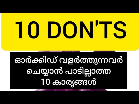 TOP 10 DON'TS.When Growing ORCHIDS-TIPS for  Orchid Beginners.ORCHID VILLA.Cont.no.8547997521.