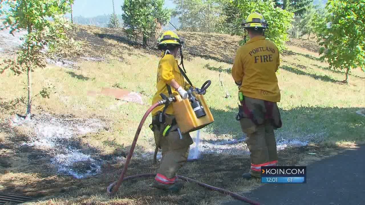 Here are tips to prevent wildfires