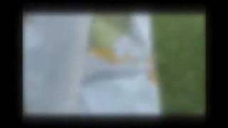 are you feeling bright eyes?