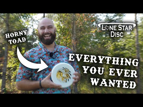 EVERYTHING YOU EVER WANTED | LONE STAR DISC ...