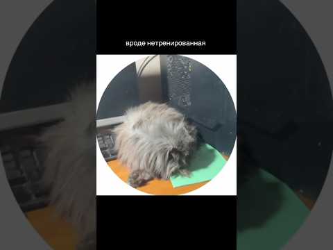 Домовёнок. Автор видео: @menirsd Смешные комментарии.